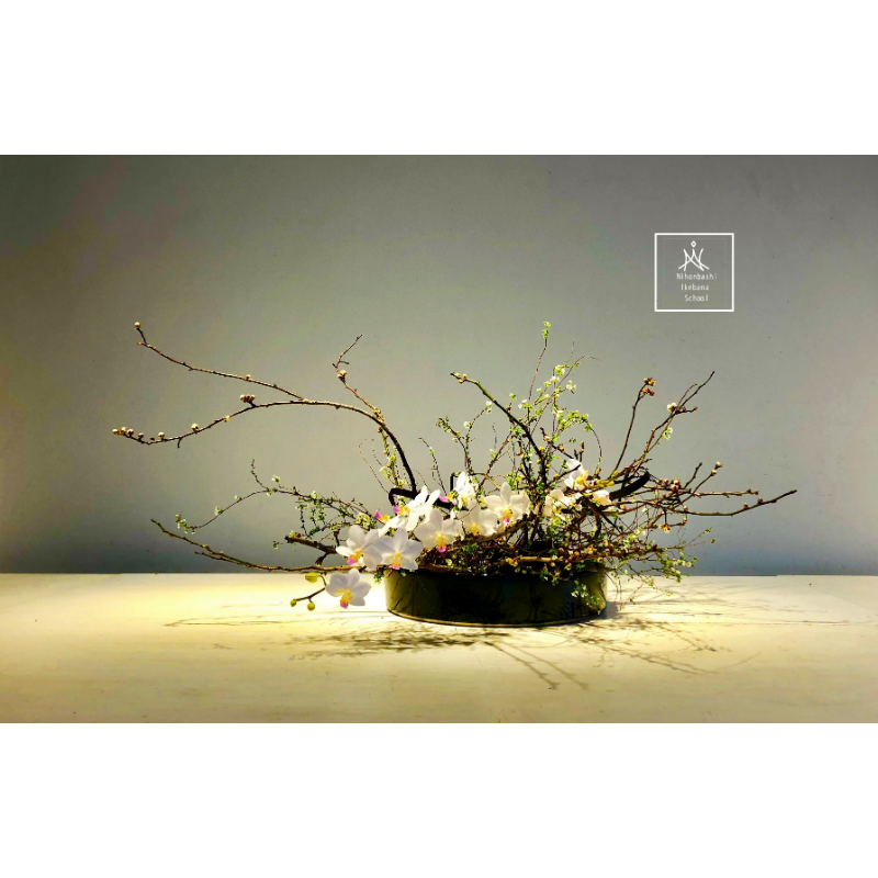 デモンストレーション画像