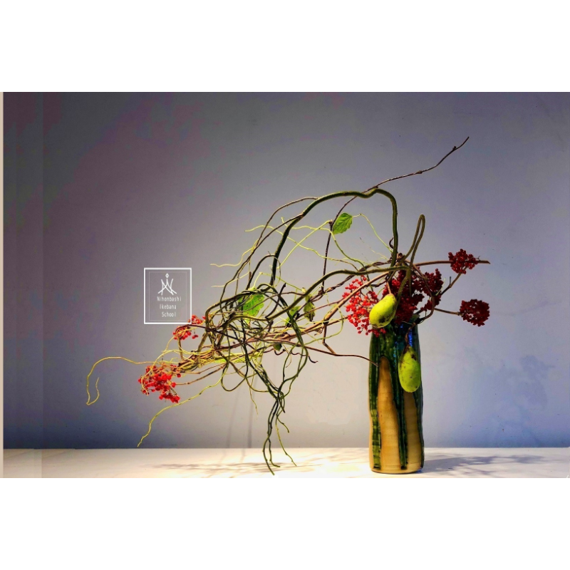 デモンストレーション画像