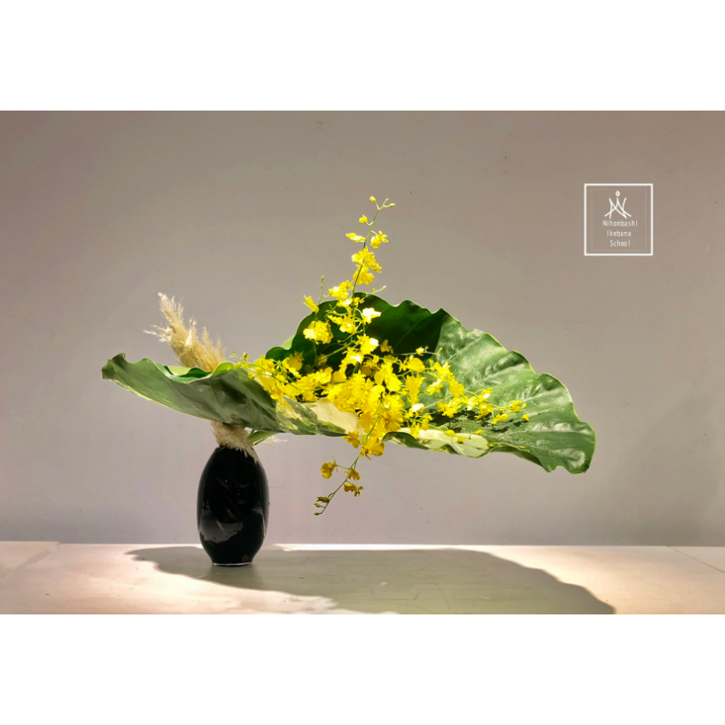 デモンストレーション画像